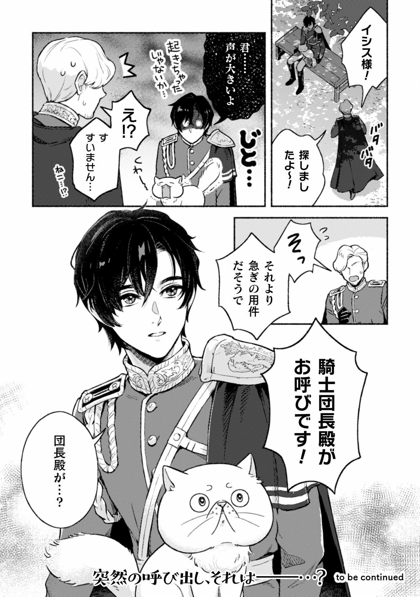 根暗騎士による溺愛満喫中のブサ猫、実は聖女です! 第3話 - 33