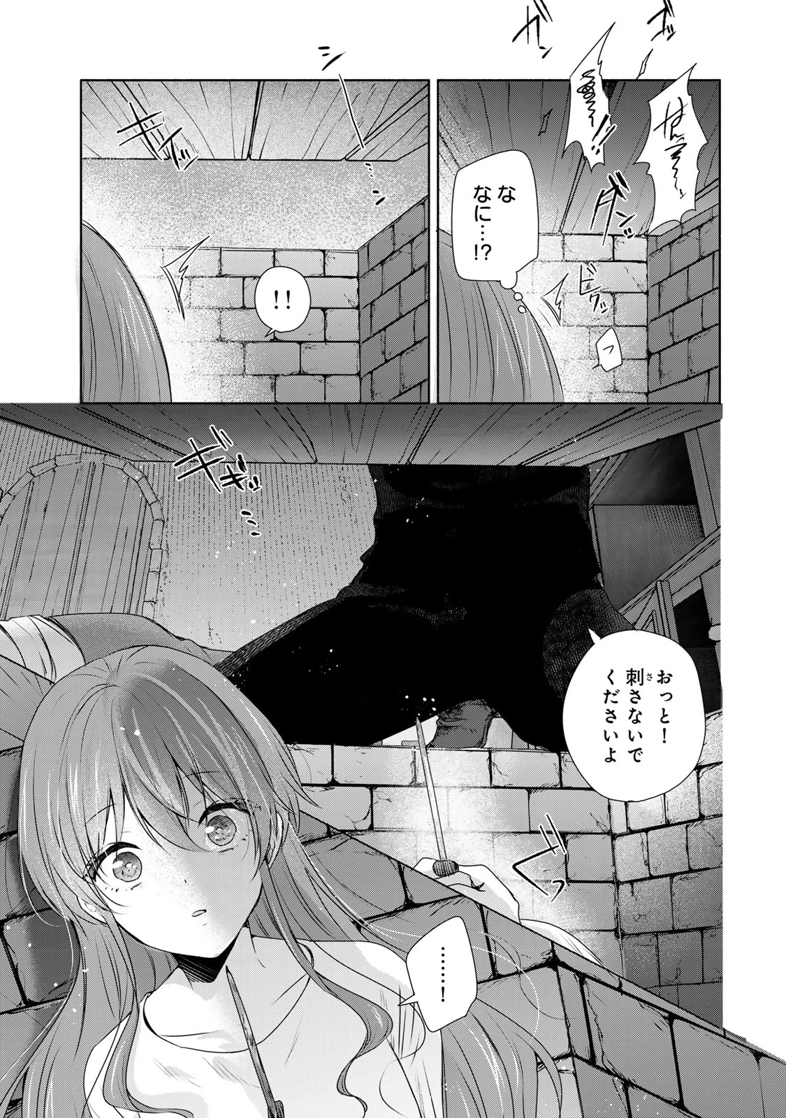 聖女様をお探しでしたら妹で間違いありません。さあどうぞお連れください、今すぐ。 第5話 - 13