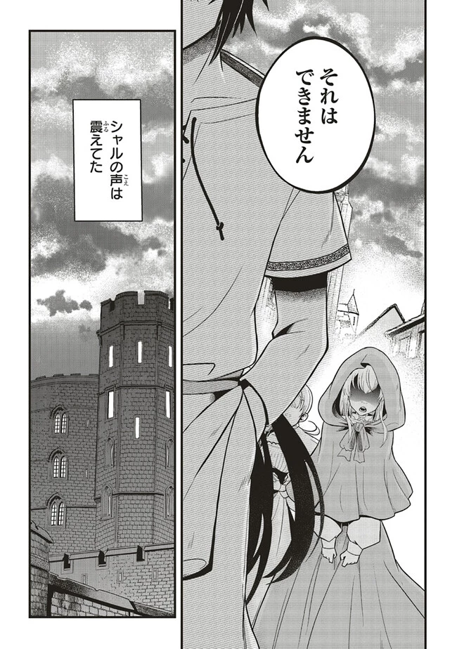 悪役王子の英雄譚 ～影に徹してきた第三王子、婚約破棄された公爵令嬢を引き取ったので本気を出してみた～ 第4.2話 - 8