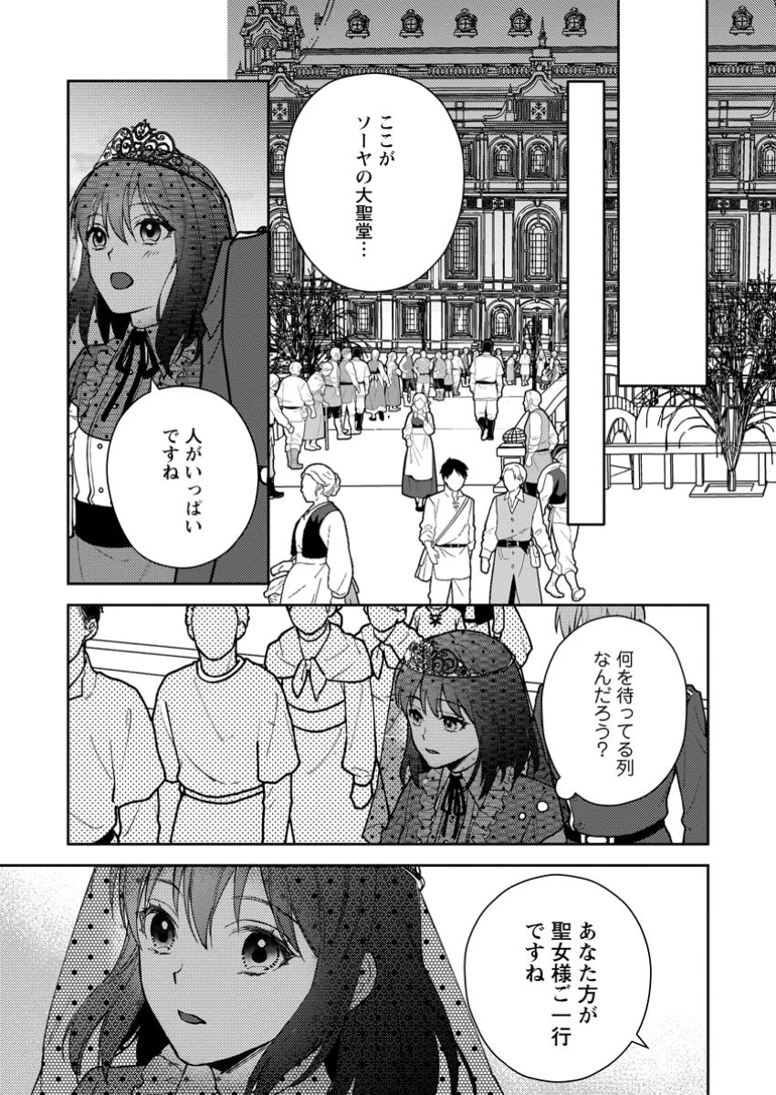 ヴェールの聖女～醜いと誤解された聖女、イケメン護衛騎士に溺愛される～ 第9.2話 - 10