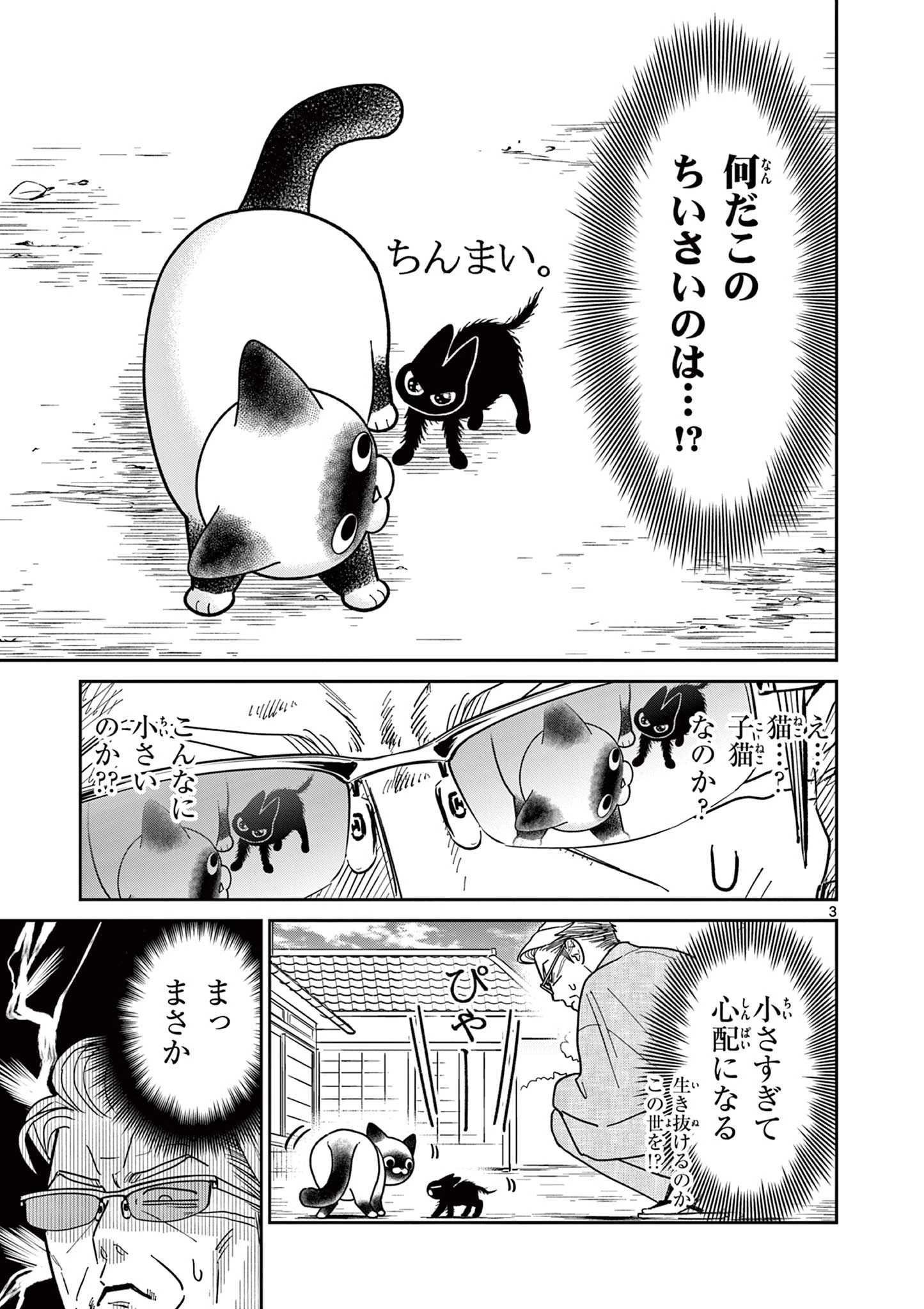 オヤジとにゃん吉 第38話 - 3