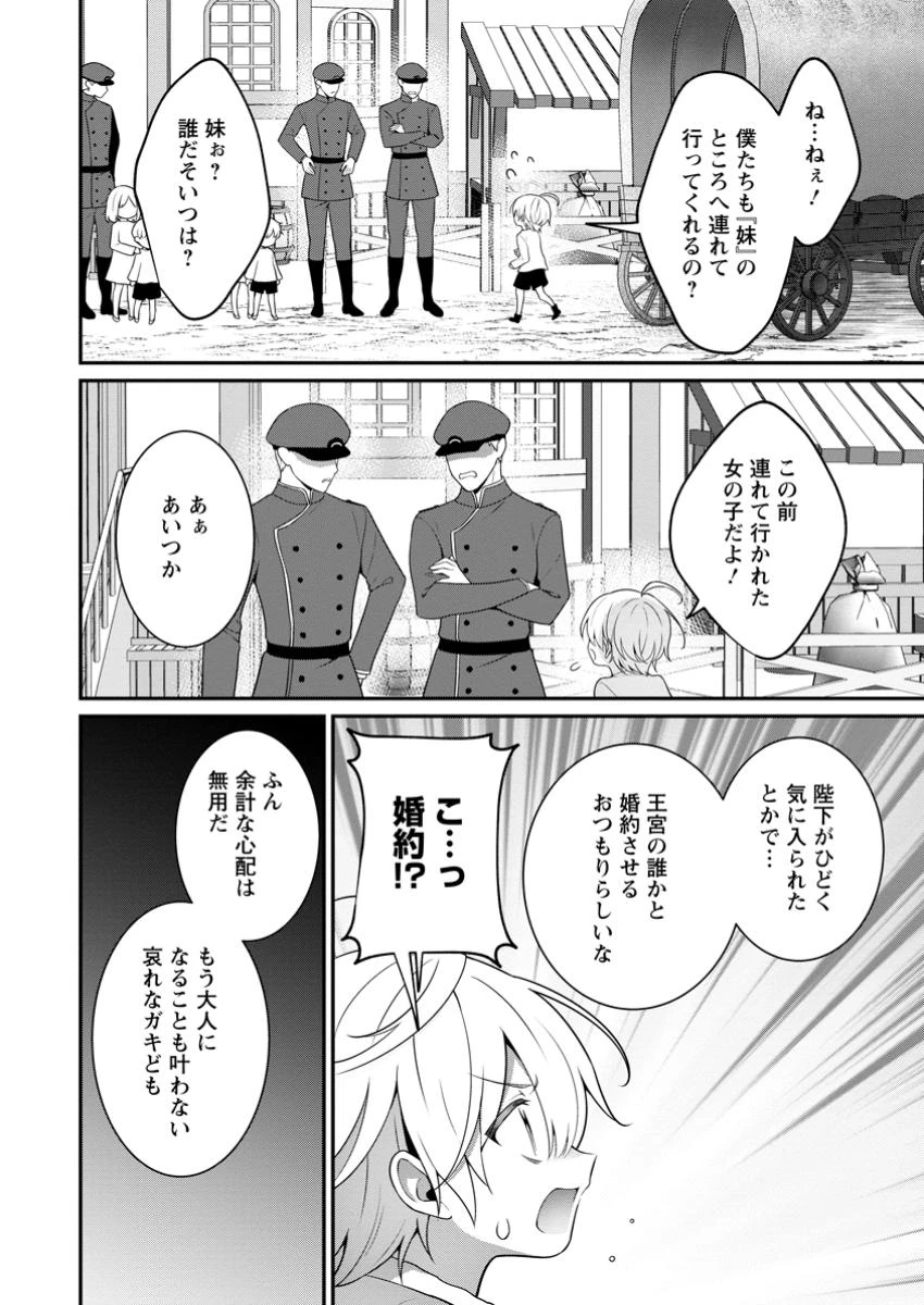 追放聖女のどろんこ農園生活～いつのまにか隣国を救ってしまいました～ 第11.1話 - 8