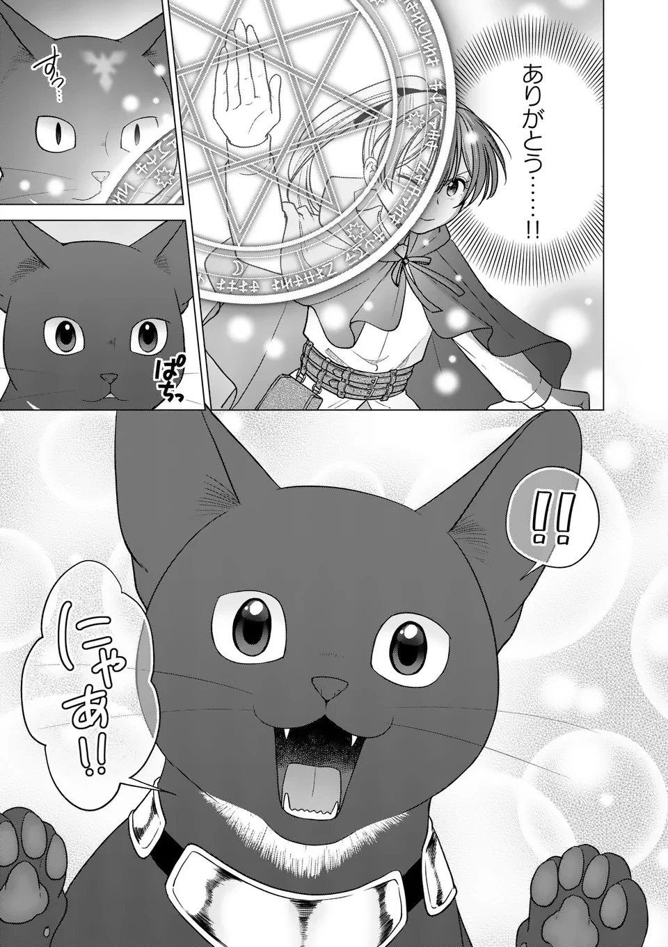 異世界ポメラニアンと虹のもふもふ旅 第20話 - 5