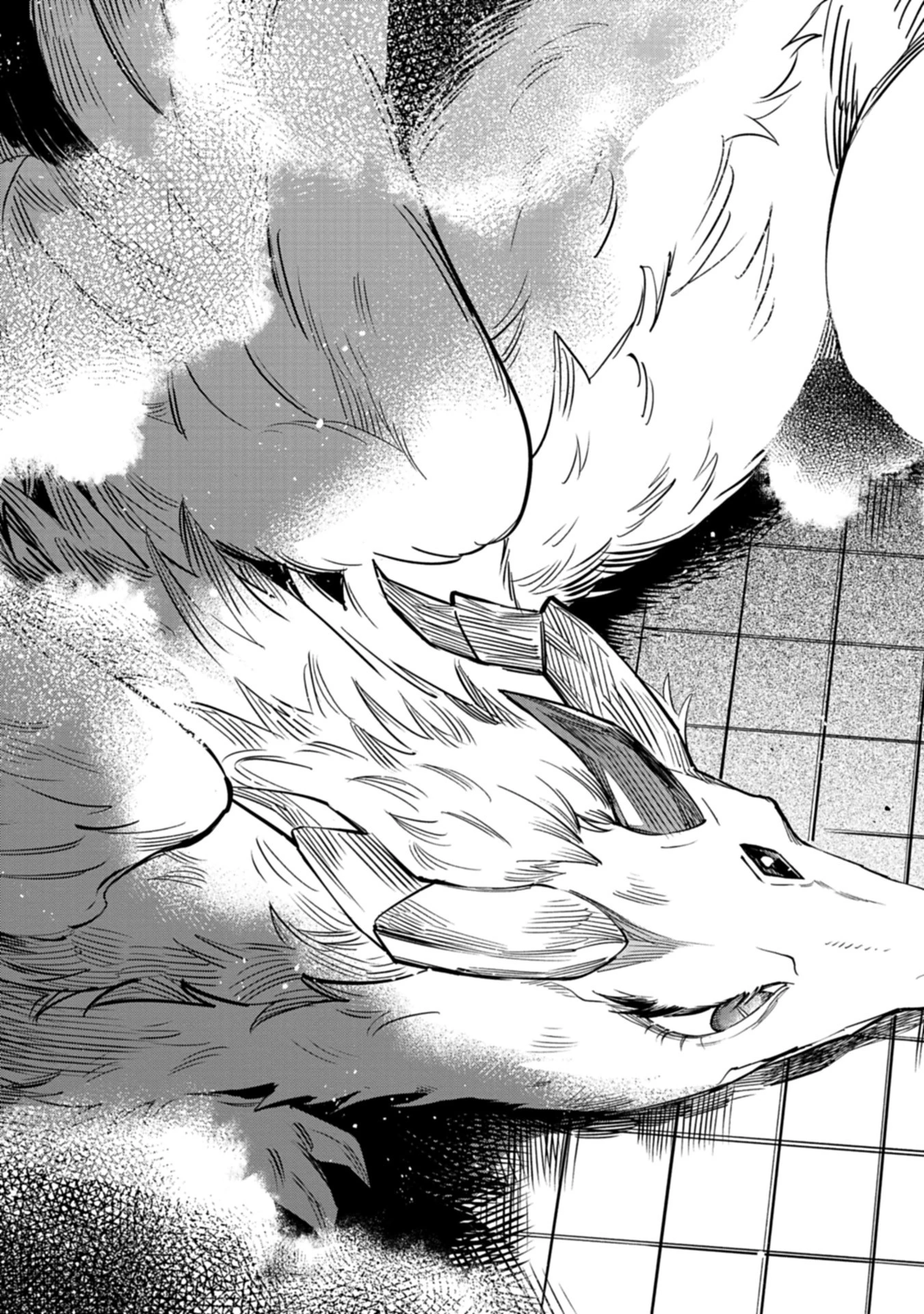 召喚スキルを継承したので極めてみようと思います!〜モフモフ魔法生物と異世界ライフを満喫中〜 第1話 - 41