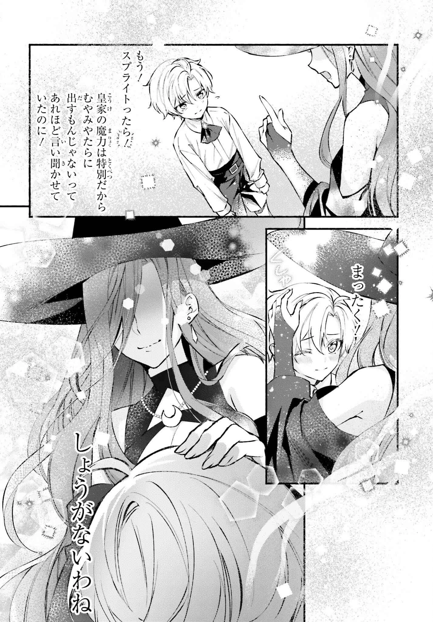 前世が伝説の大魔女だった不遇聖女は皇帝陛下に溺愛されています 第1話 - 33