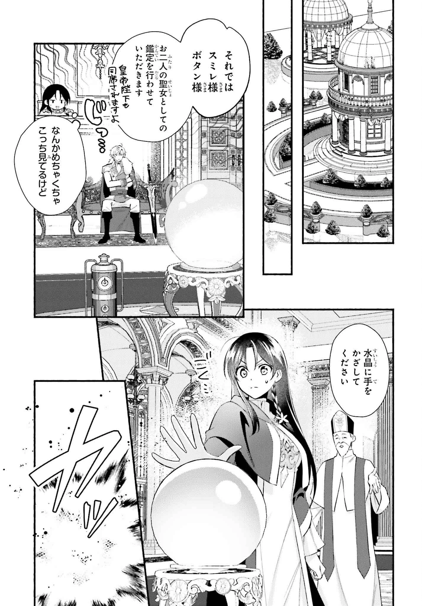 前世が伝説の大魔女だった不遇聖女は皇帝陛下に溺愛されています 第1話 - 40