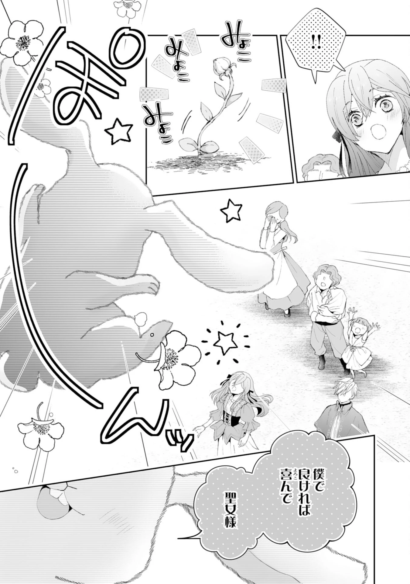 婚約破棄は本望です！聖女の力が開花したので私は自由に暮らします 第5話 - 25