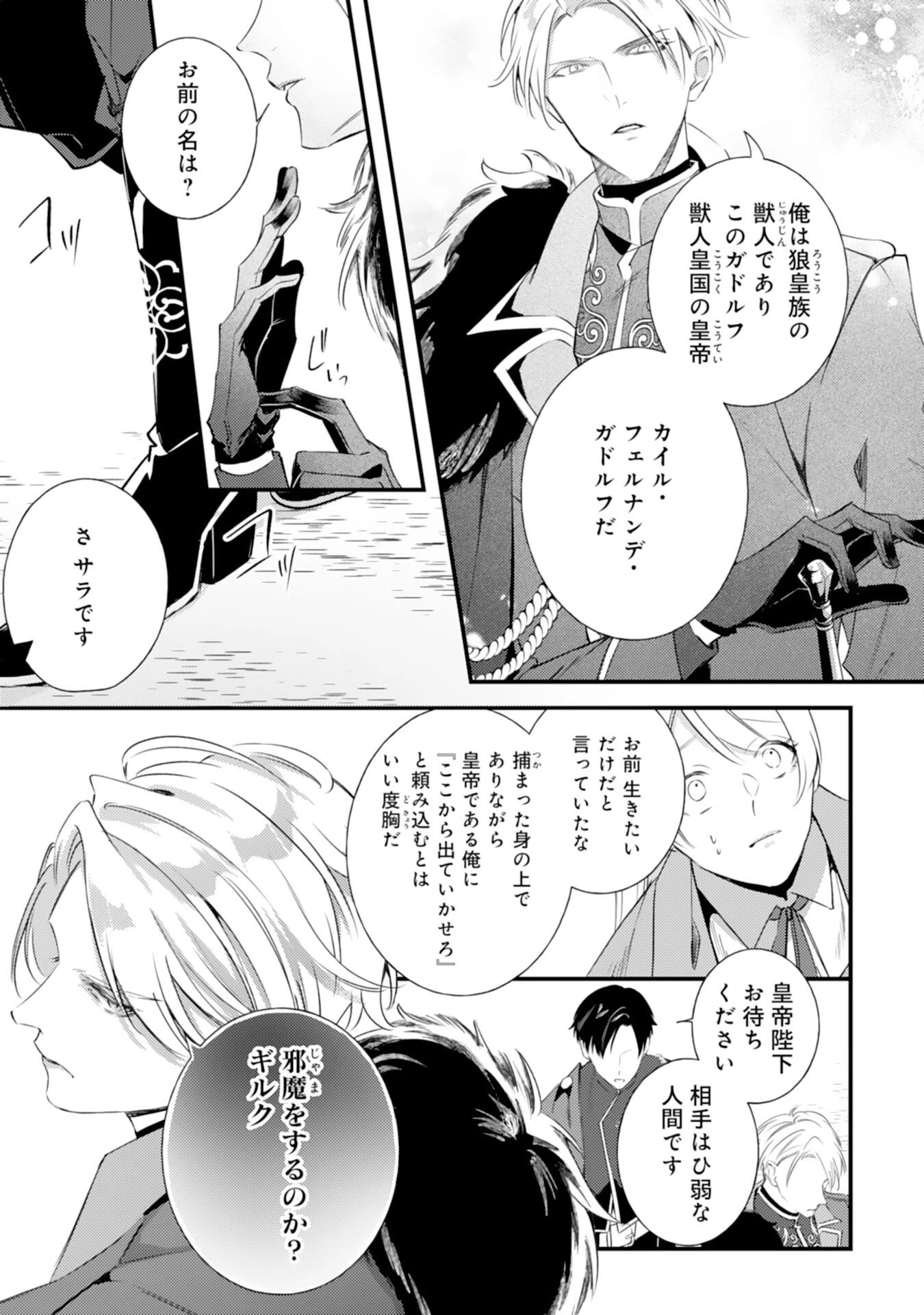 冷酷な狼皇帝の契約花嫁～お前は家族じゃないと捨てられた令嬢が、獣人国で愛されて幸せになるまで～ 第2話 - 11