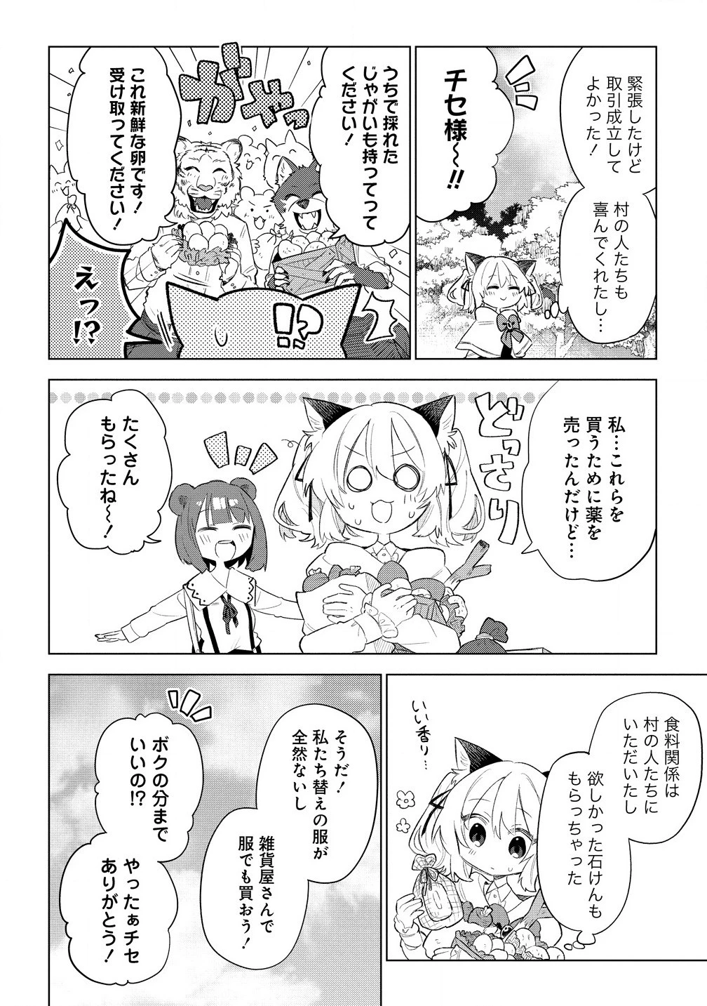 猫耳少女は森でスローライフを送りたい ～もふもふは所望しましたが、聖女とか王子様とかは注文外です～ 第6.2話 - 6