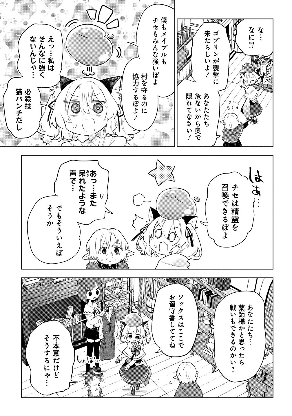 猫耳少女は森でスローライフを送りたい ～もふもふは所望しましたが、聖女とか王子様とかは注文外です～ 第6.2話 - 9