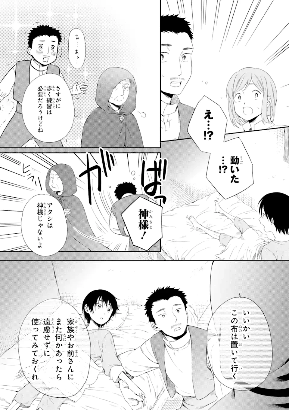 砂漠の国の雨降らし姫～前世で処刑された魔法使いは農家の娘になりました～ 第10.2話 - 8