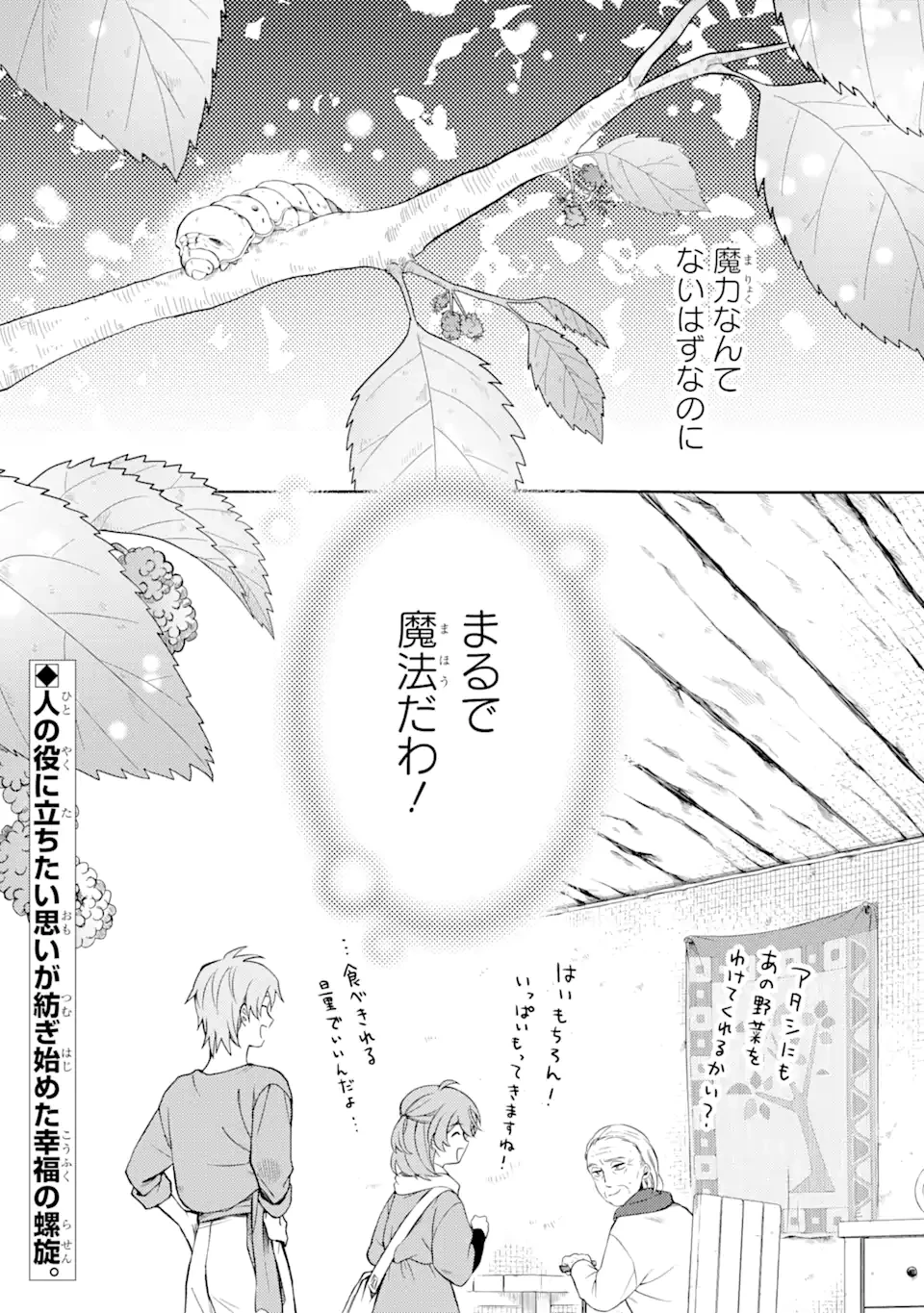 砂漠の国の雨降らし姫～前世で処刑された魔法使いは農家の娘になりました～ 第8.3話 - 11