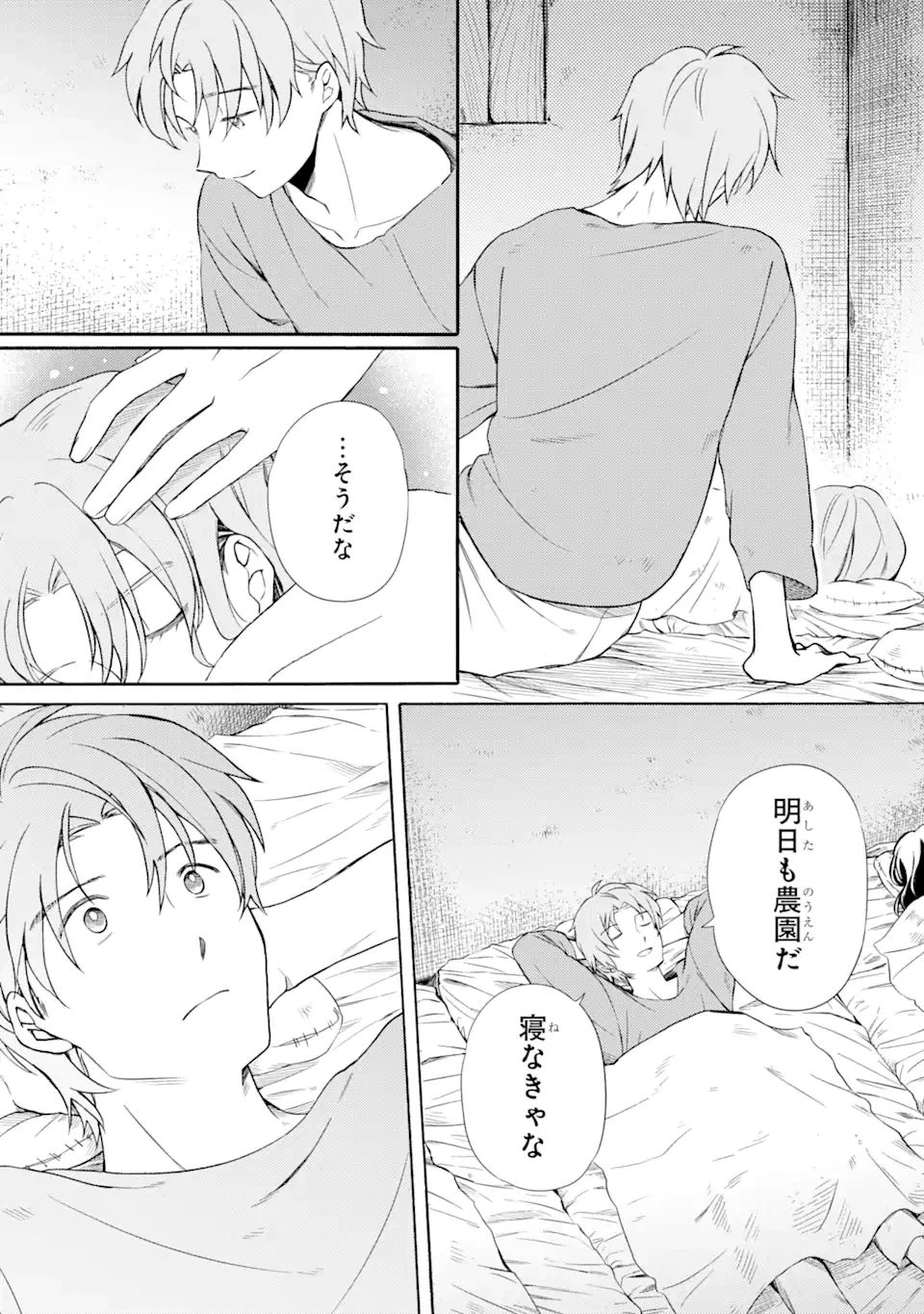 砂漠の国の雨降らし姫～前世で処刑された魔法使いは農家の娘になりました～ 第7.3話 - 9