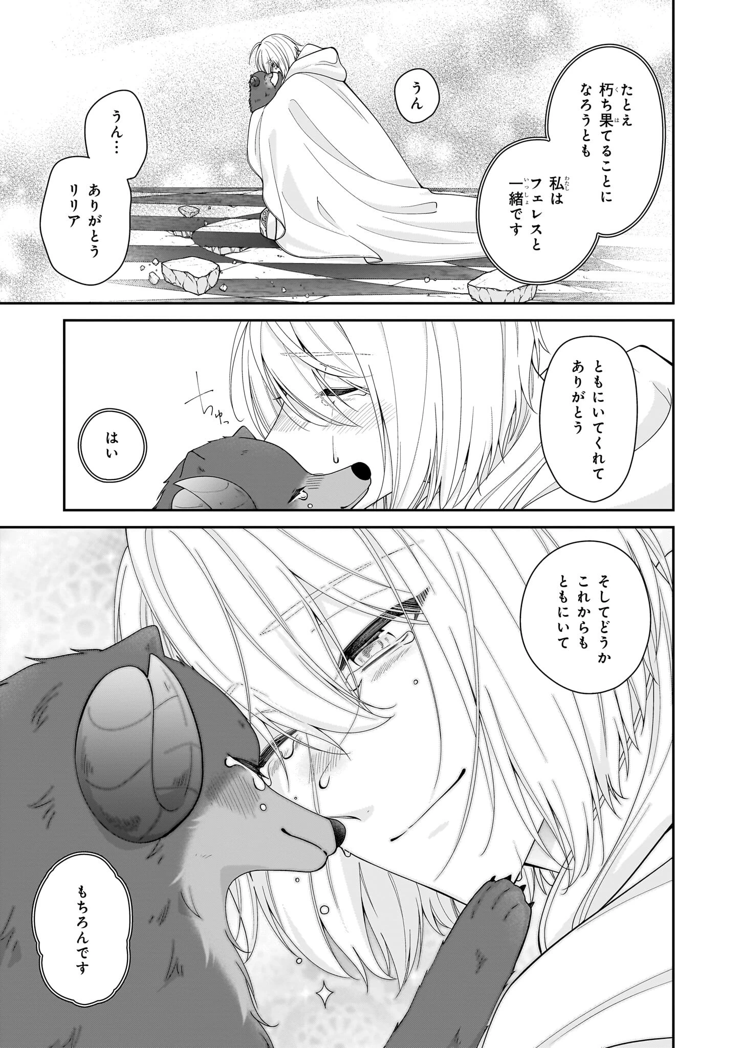 悪役令嬢は隣国の王太子に溺愛される 第58話 - 9