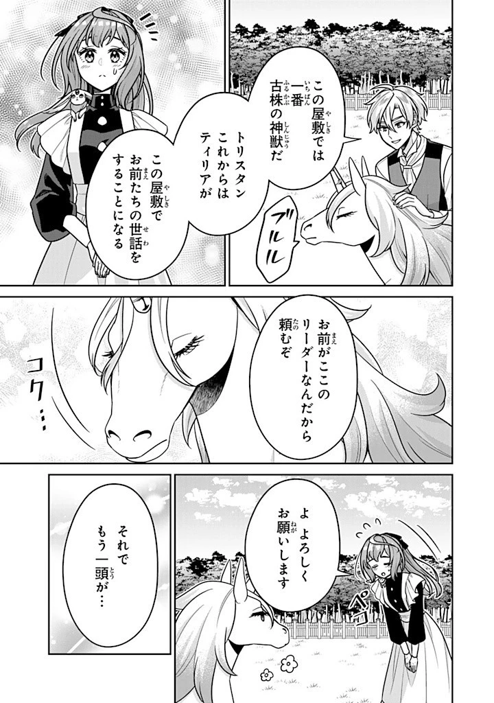 神獣騎士様の専属メイド 神獣騎士様の専属メイド 第9.3話 - 5