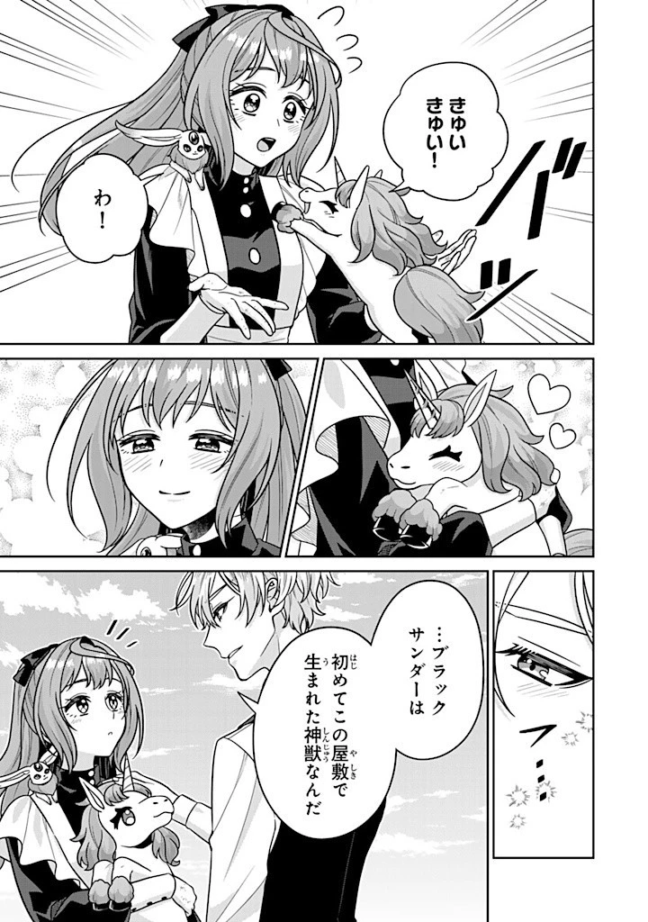 神獣騎士様の専属メイド 神獣騎士様の専属メイド 第9.3話 - 9