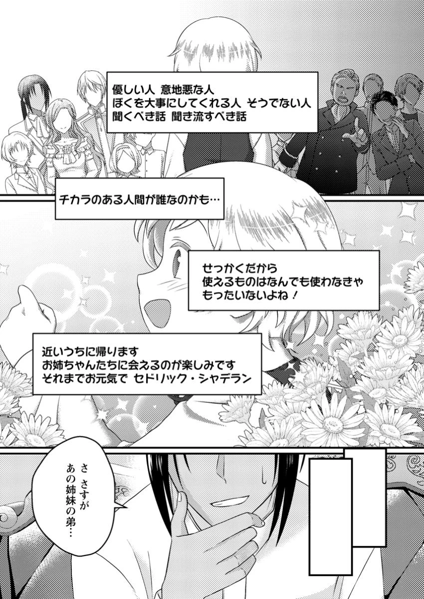 ずたぼろ令嬢は姉の元婚約者に溺愛される 第36.3話 - 1