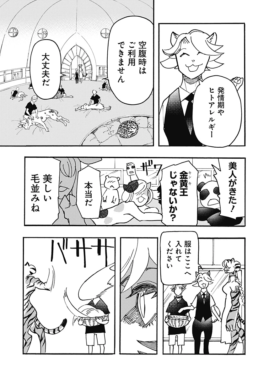 ケモノクニ 第45話 - 13
