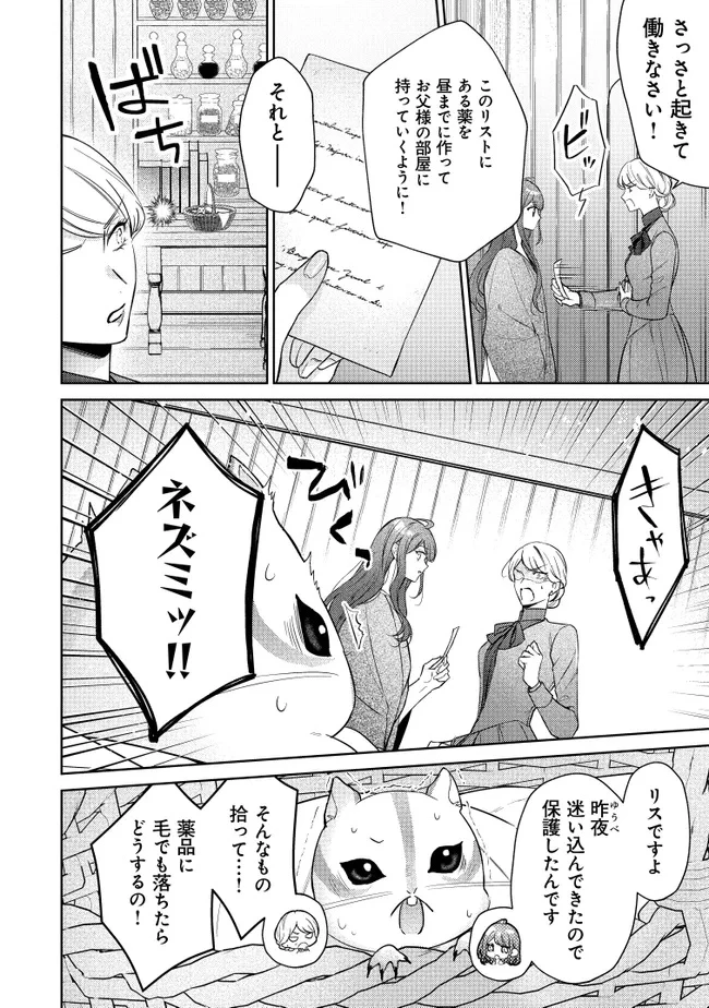 リスになってしまった婚約者が、毛嫌いしていたはずの私に助けを求めてきました。 第2話 - 4