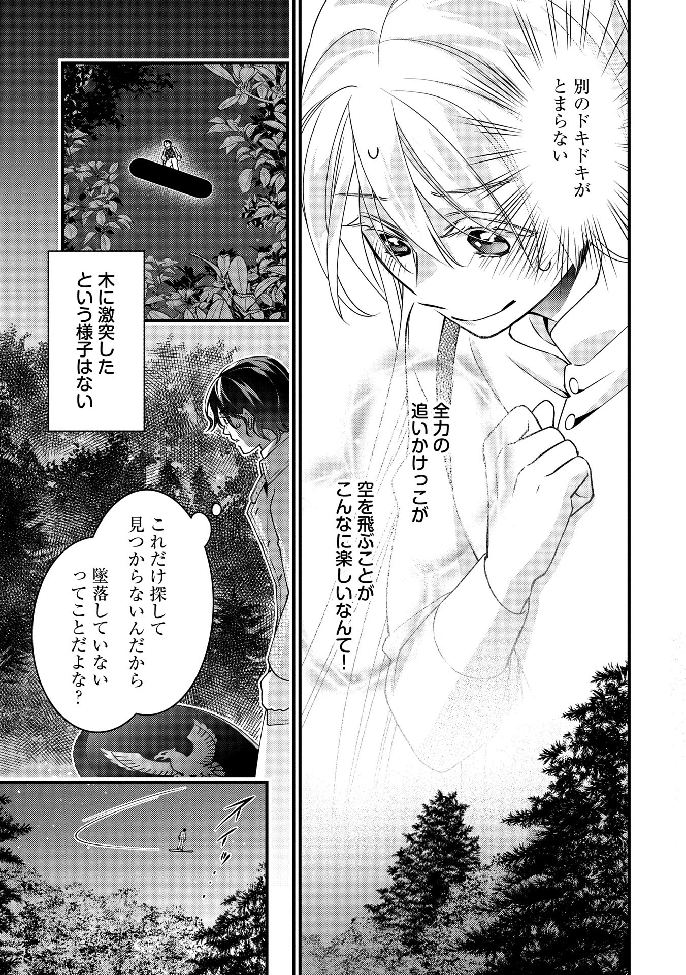 王空騎士団と救国の少女～空を飛ぶ少女アイリスの物語～ 第6話 - 9