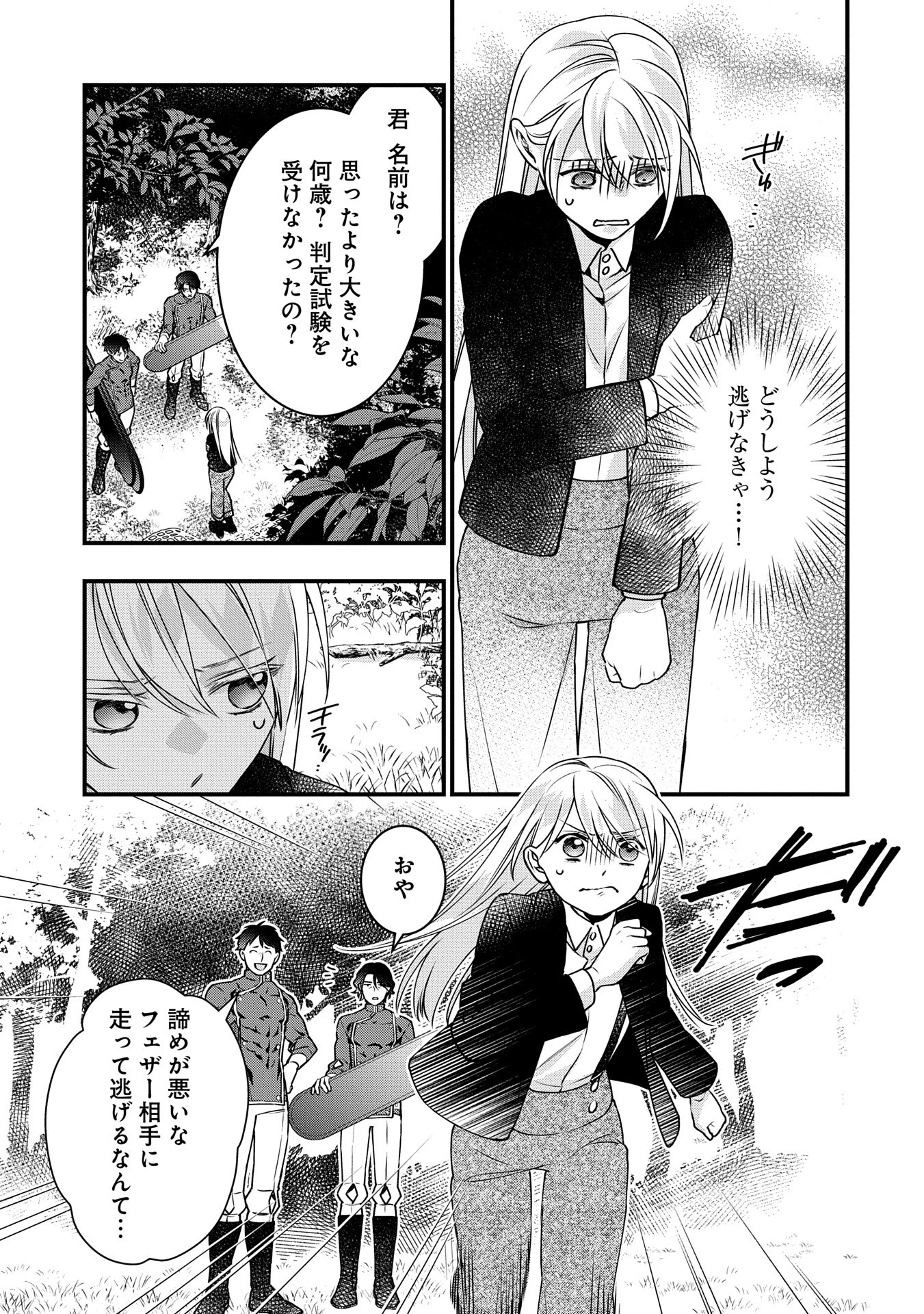 王空騎士団と救国の少女～空を飛ぶ少女アイリスの物語～ 第6話 - 29