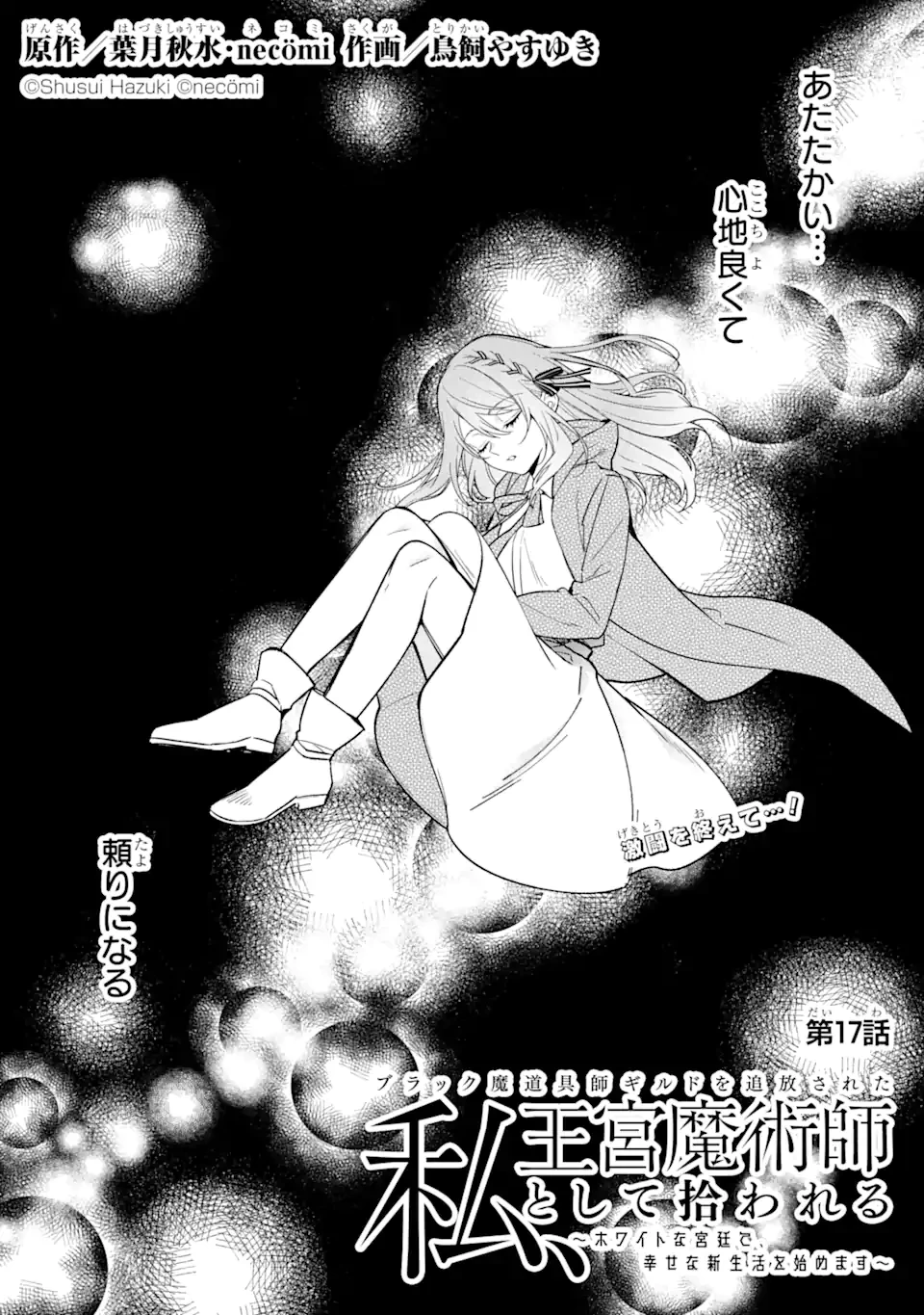 ブラック魔道具師ギルドを追放された私、王宮魔術師として拾われる～ホワイトな宮廷で、幸せな新生活を始めます!～BlackMadougushiGuildwoTsuihousaretaWatashi 第17.1話 - 1