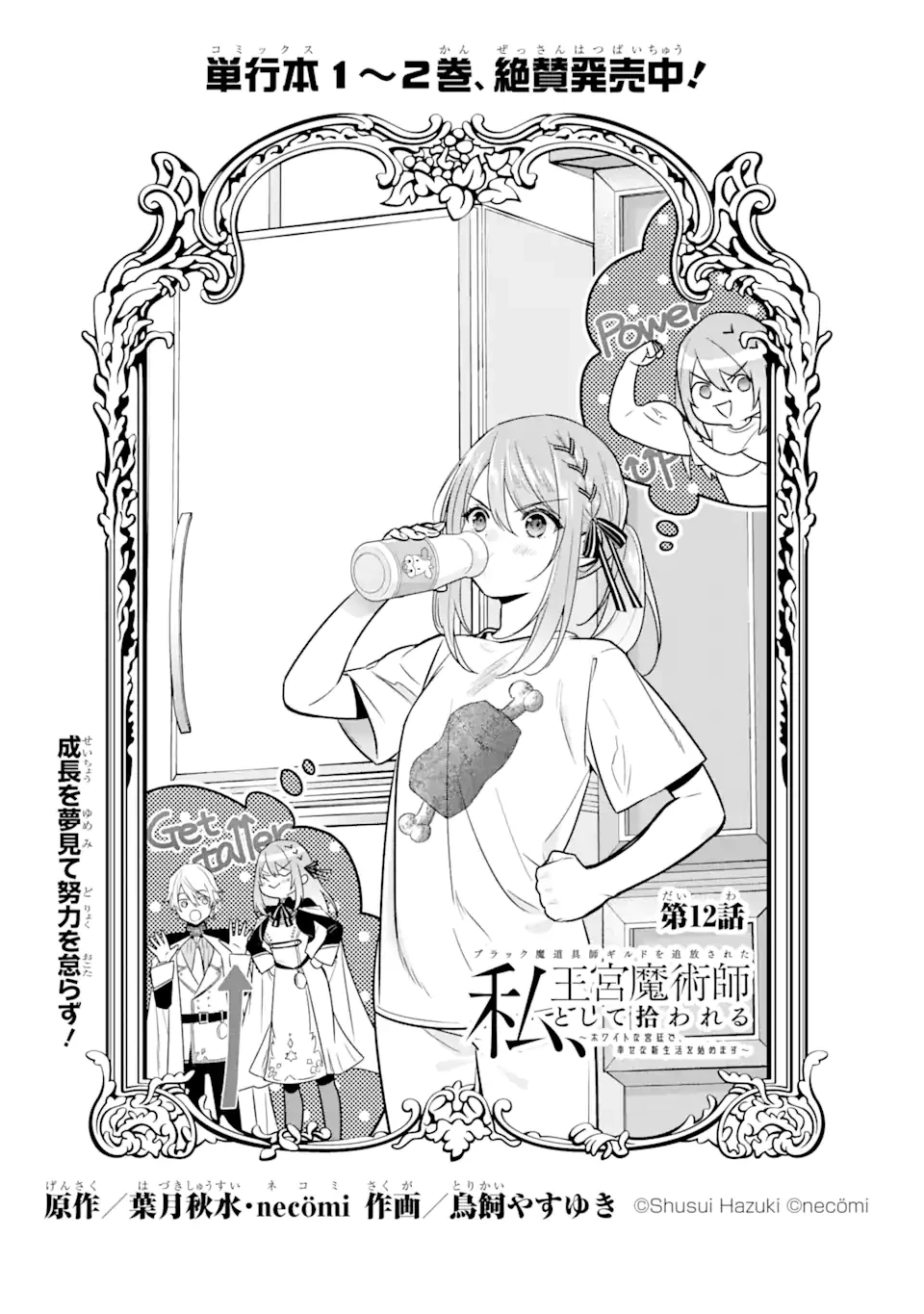無料漫画（漫画）mangakoma - manga1001 - 漫画ロウ, mangaraw, manga raw, manga1001, manga1000, 漫画raw, 漫画ばんく, 無料 漫画, 漫画 無料, 漫画ロウ | : ブラック魔道具師ギルドを追放された私、王宮魔術師として拾われる～ホワイトな宮廷で、幸せな新生活を始めます!～BlackMadougushiGuildwoTsuihousaretaWatashi 第12.1話 3