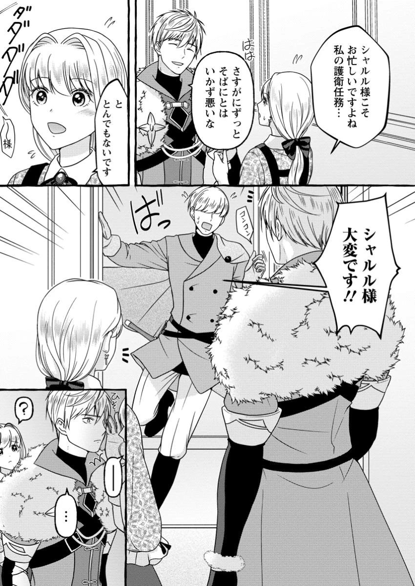 身代わりの落ちこぼれ生贄聖女は敵国王弟に溺愛される ～処刑の日はいつでしょう？ え、なぜこんなに大事にされてるんでしょうか～ 第7.3話 - 10