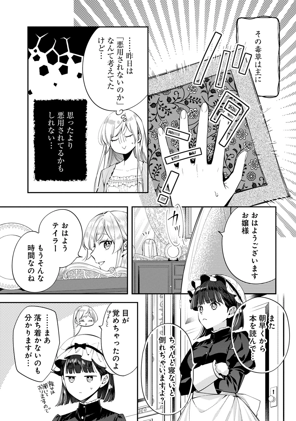 王太子に婚約破棄されたので、もうバカのふりはやめようと思います 第27話 - 17