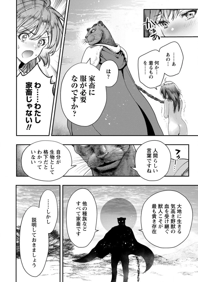 クラス召喚に巻き込まれた教師、外れスキルで機械少女を修理する 第30.2話 - 3