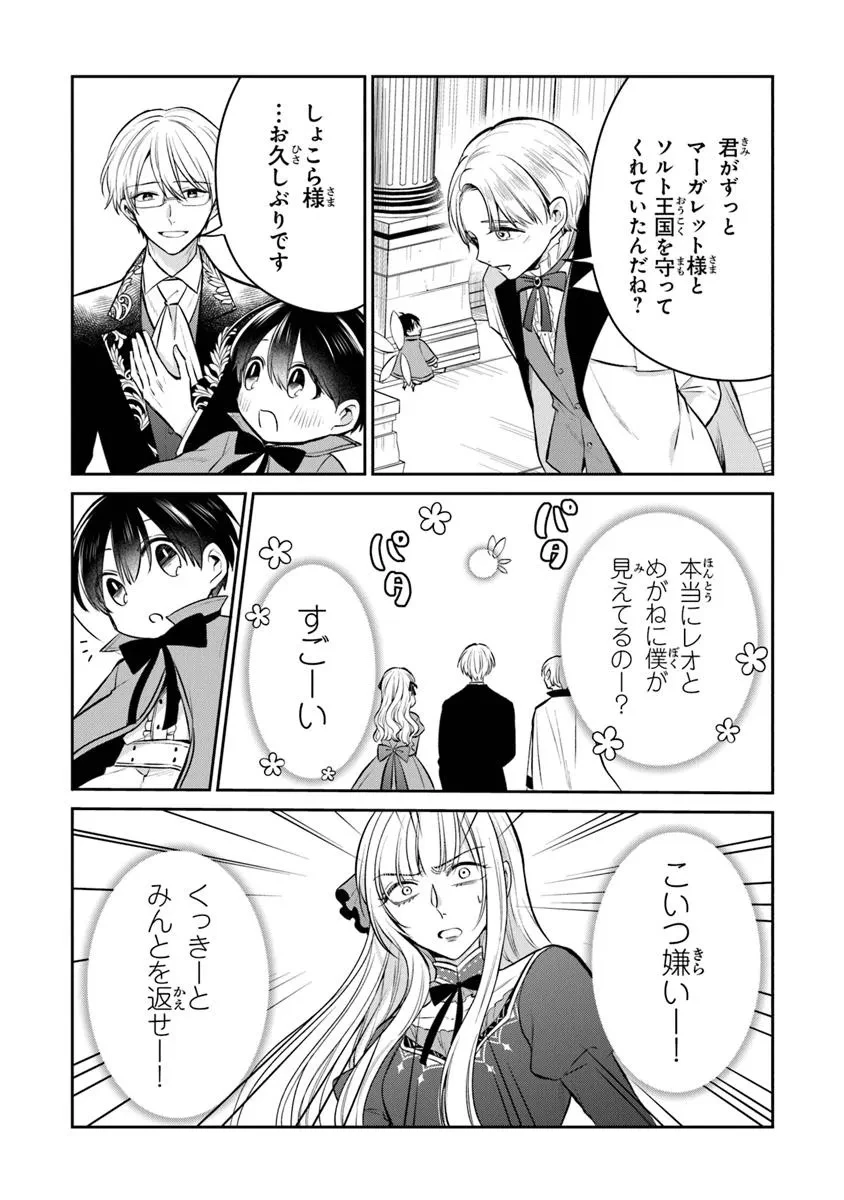 義妹が聖女だからと婚約破棄されましたが、私は妖精の愛し子です 第26.1話 - 4