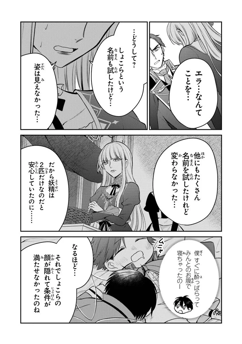 義妹が聖女だからと婚約破棄されましたが、私は妖精の愛し子です 第26.1話 - 5