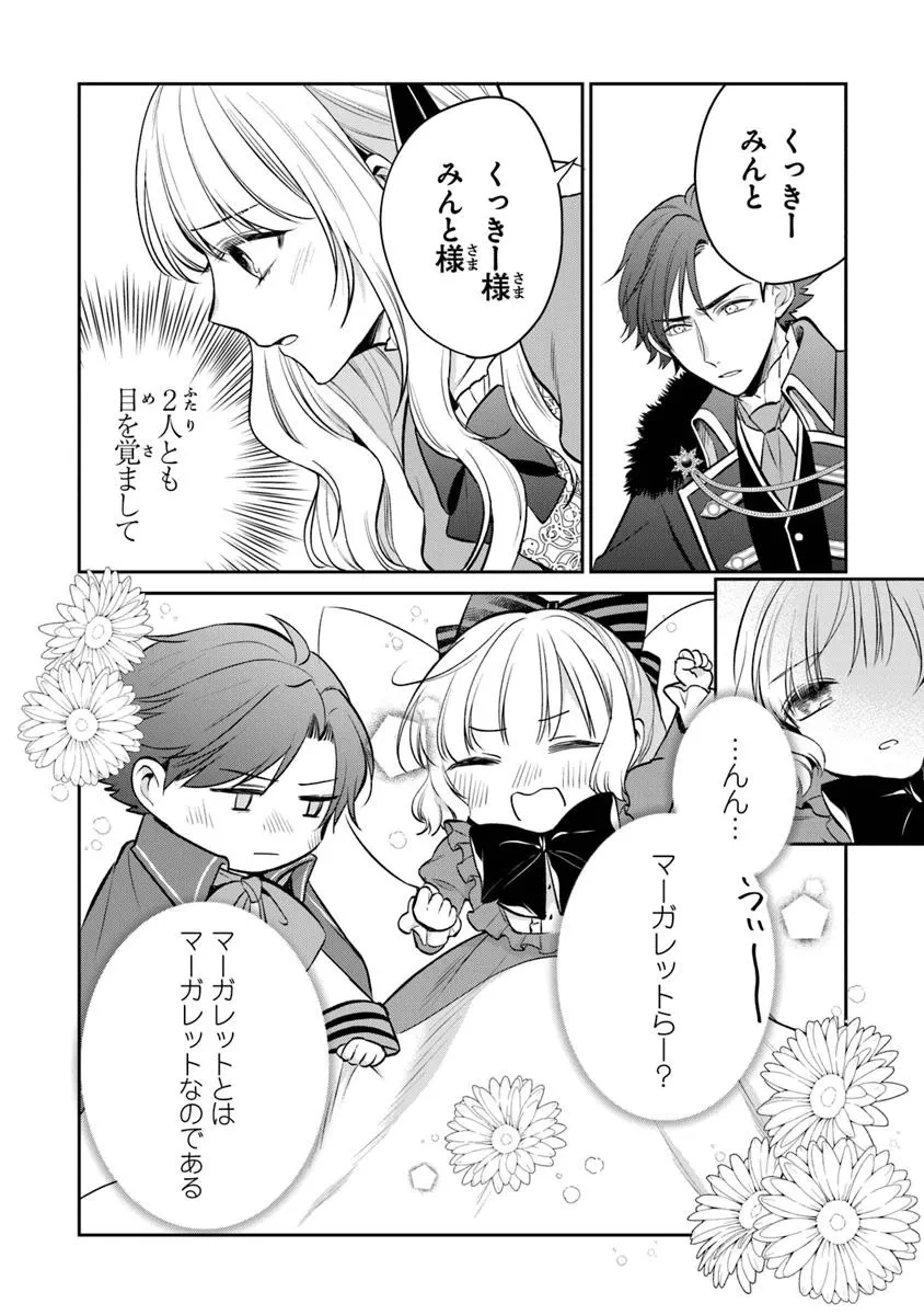 義妹が聖女だからと婚約破棄されましたが、私は妖精の愛し子です 第26.1話 - 14