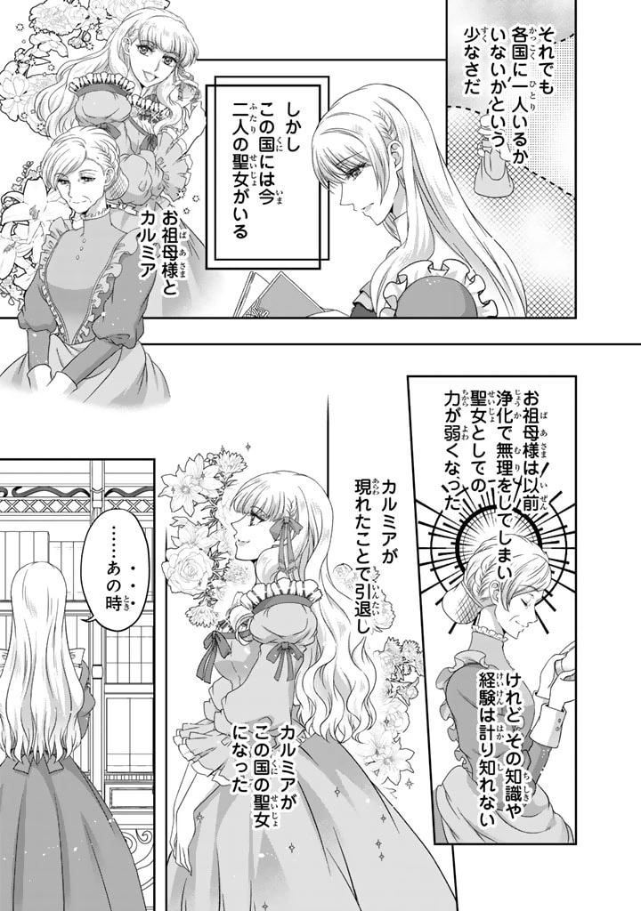 妹にすべてを奪われた令嬢は婚約者の裏切りを知り回帰する 第2話 - 11