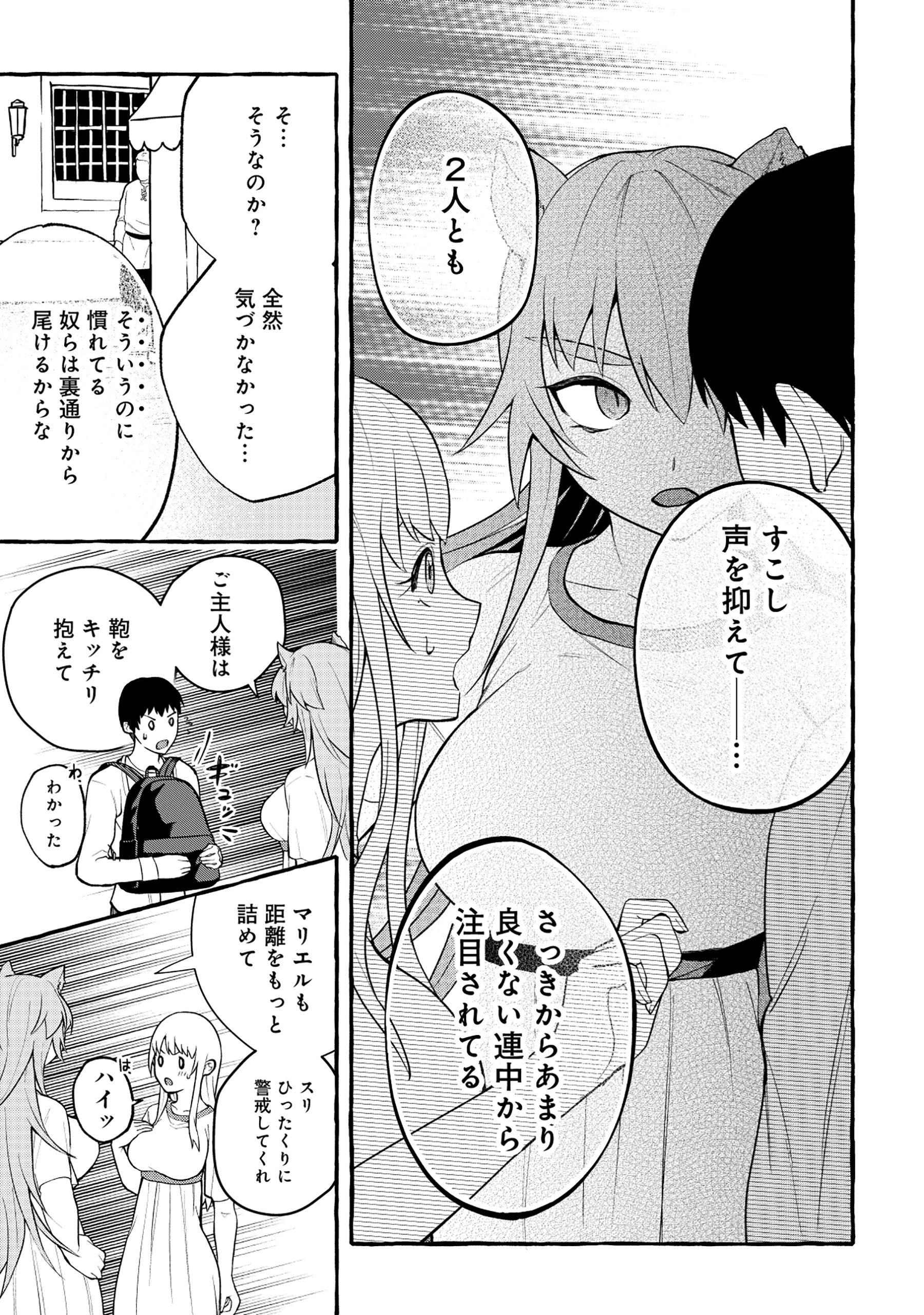 異世界⇔地球間で個人貿易してみた 第5.1話 - 11