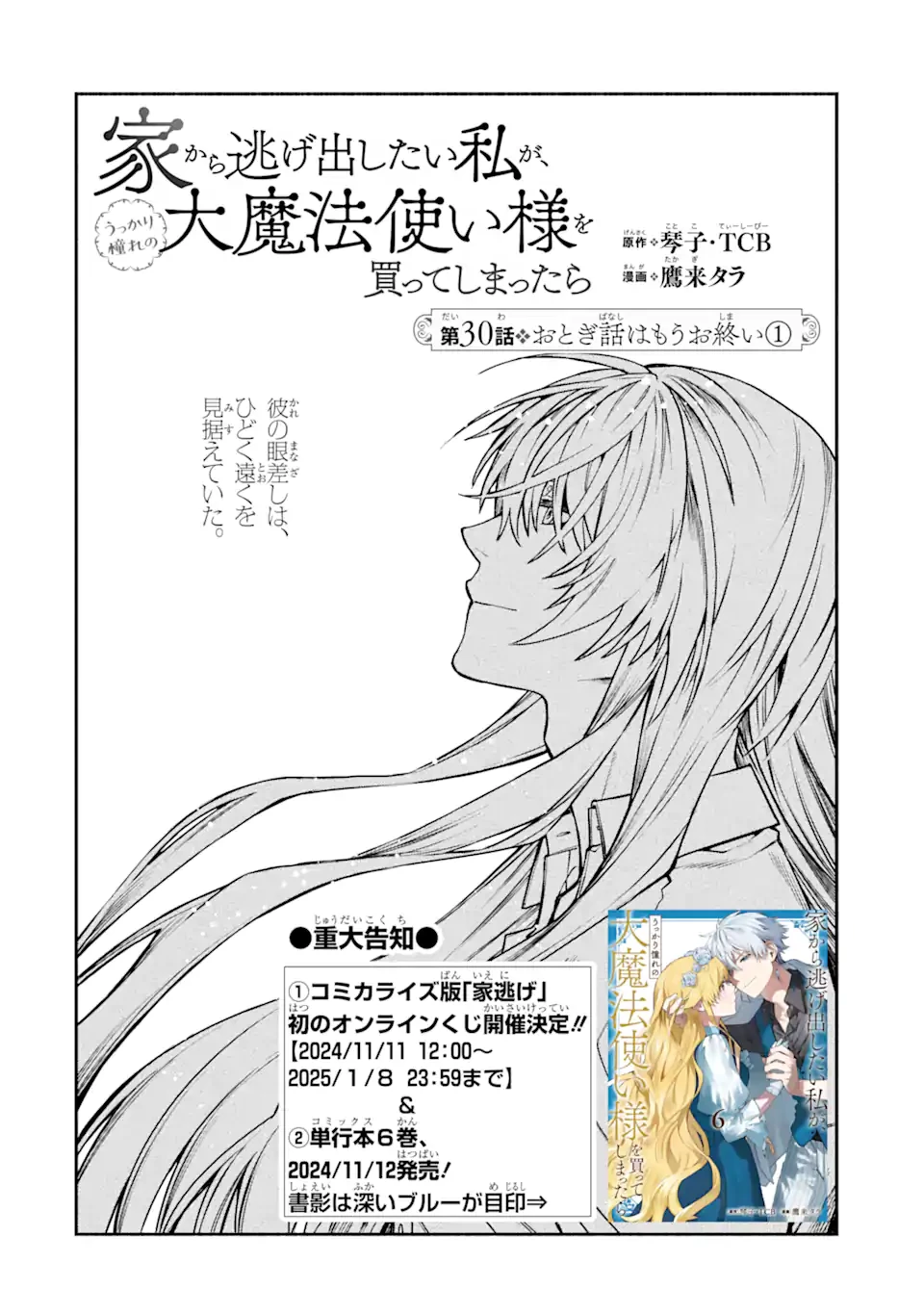 家から逃げ出したい私が、うっかり憧れの大魔法使い様を買ってしまったら 第30.1話 - 6