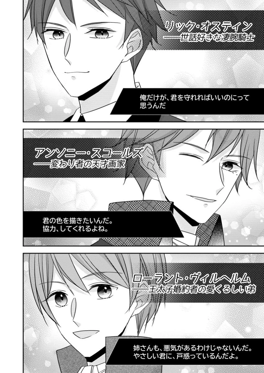 婚約解消を提案したら王太子様に溺愛されました　～お手をどうぞ、僕の君～ 第12.1話 - 4