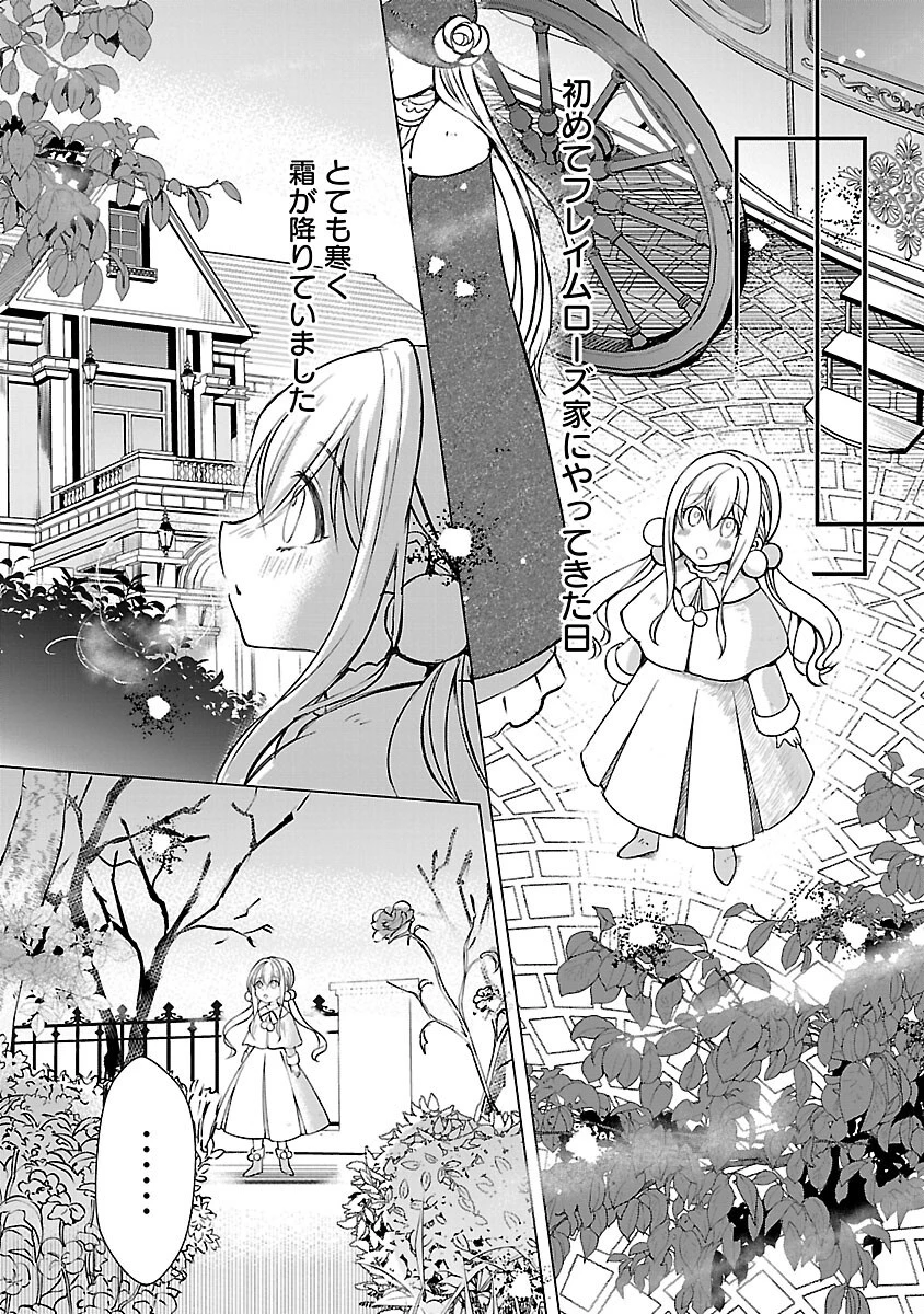 推しの妹に転生してしまったので、 最凶の悪女になってお兄様を独占することにいたします 第4話 - 18