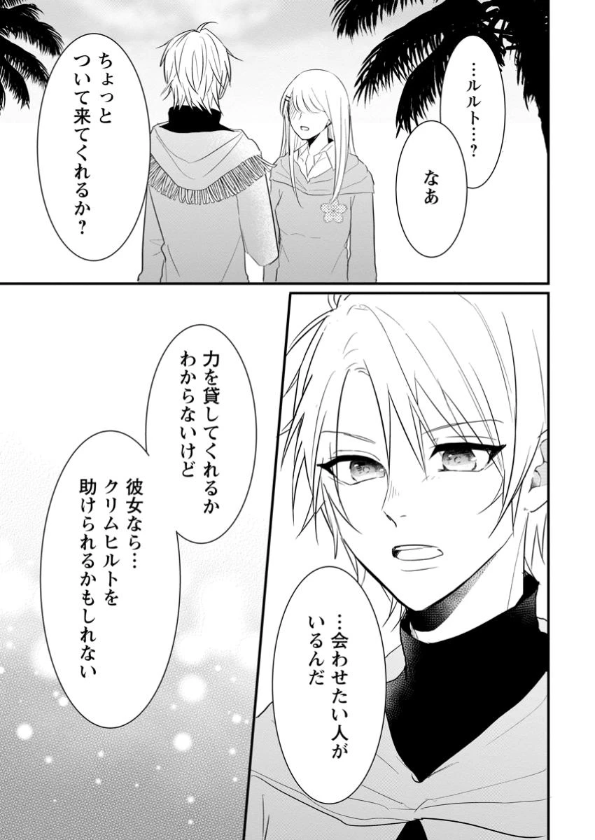 極めた薬師は聖女の魔法にも負けません ～コスパ悪いとパーティ追放されたけど、事実は逆だったようです～ 第35.3話 - 3