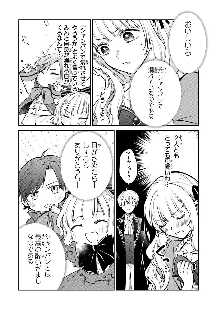 義妹が聖女だからと婚約破棄されましたが、私は妖精の愛し子です 第26.2話 - 2