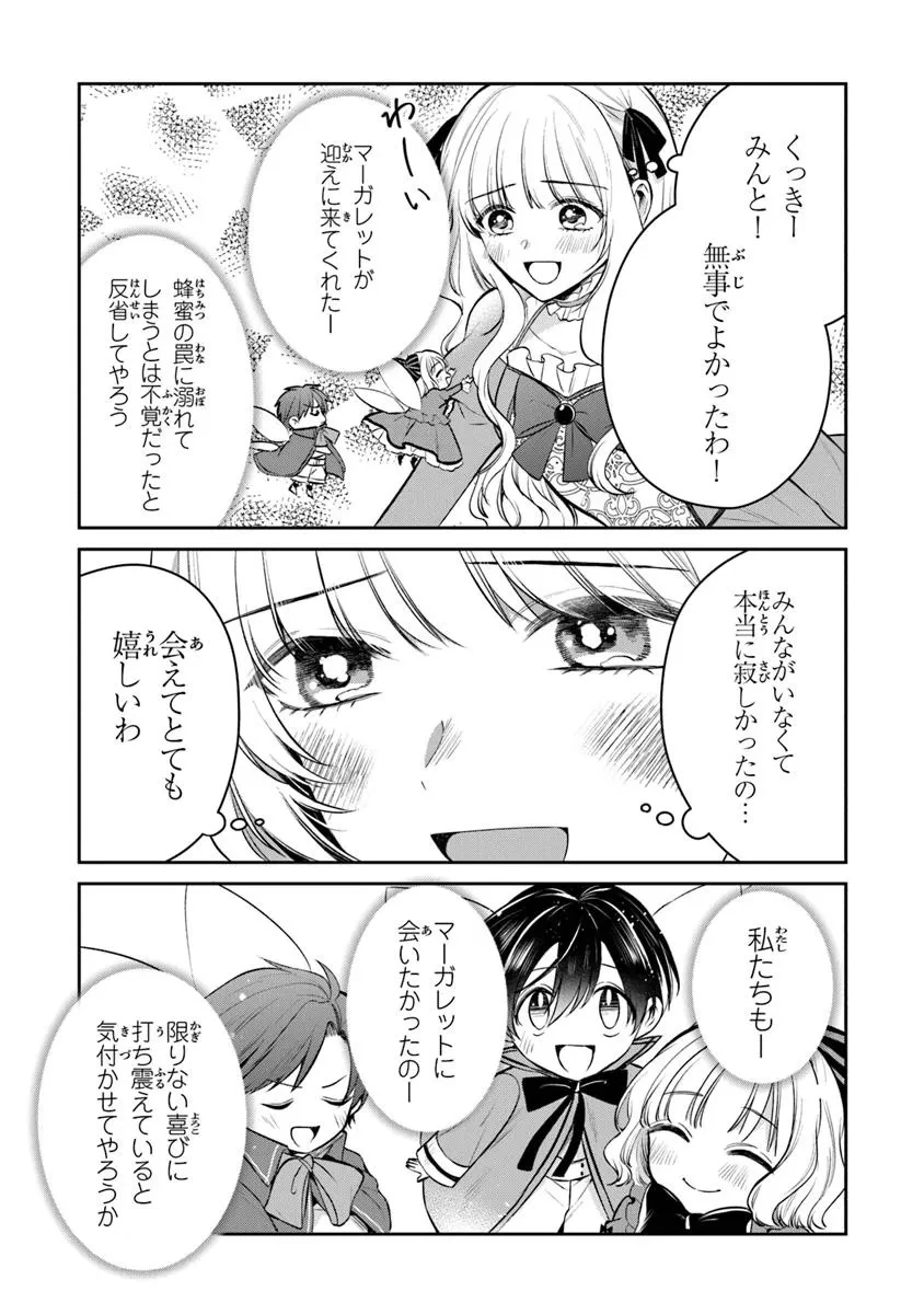 義妹が聖女だからと婚約破棄されましたが、私は妖精の愛し子です 第26.2話 - 3