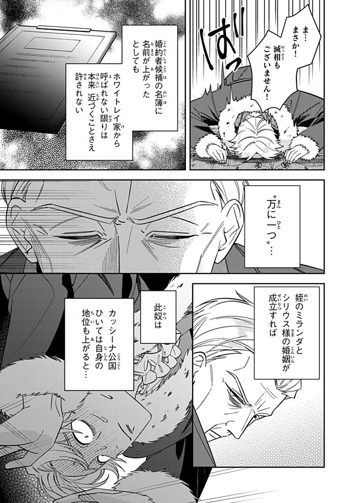 自由気ままな精霊姫 第18.2話 - 3