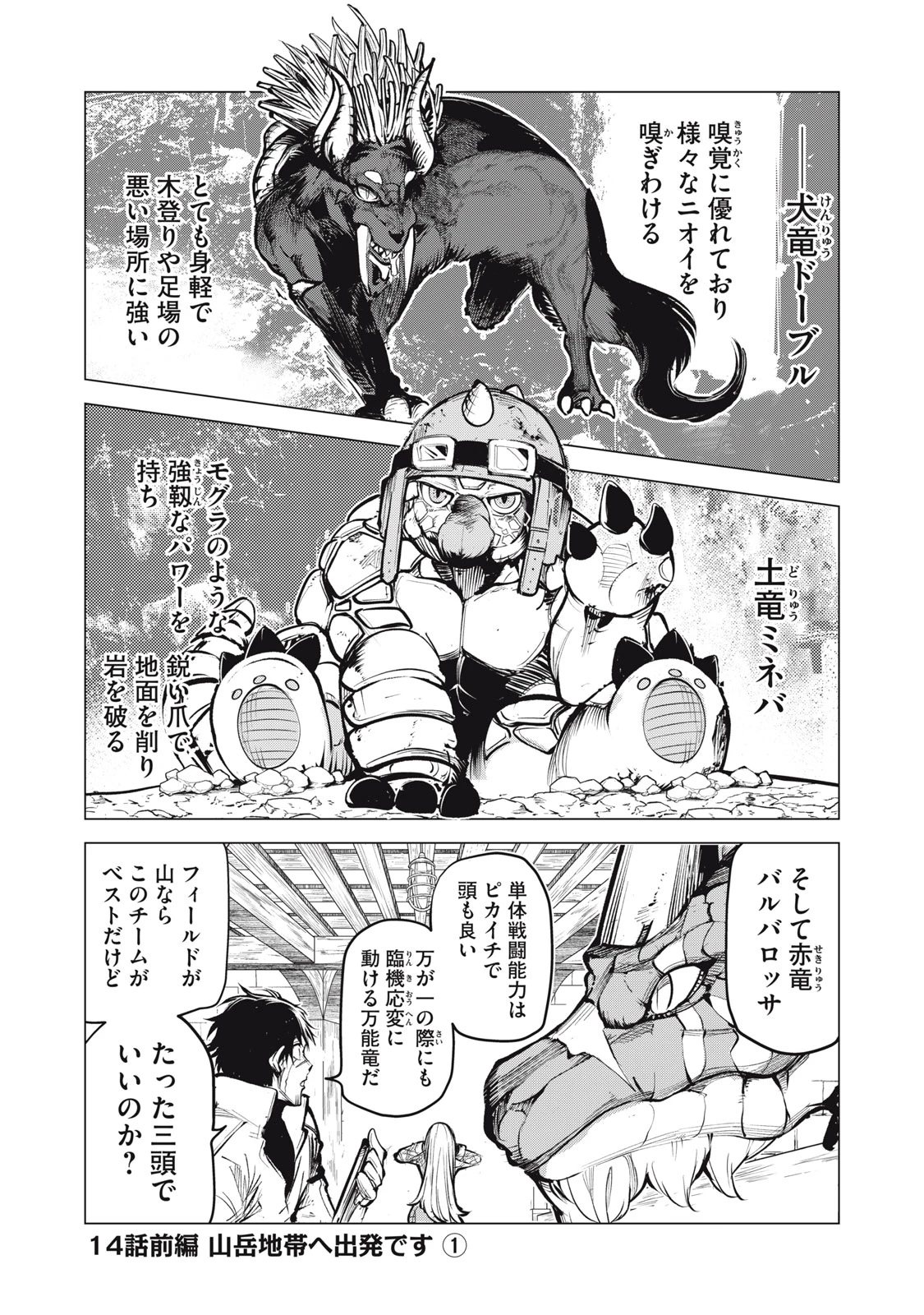 国を追われた竜師さん、拾われた隣国でうっかり無双してしまう。〜弱小国家が大陸最強の竜の楽園になるまで〜 第14話 - 1