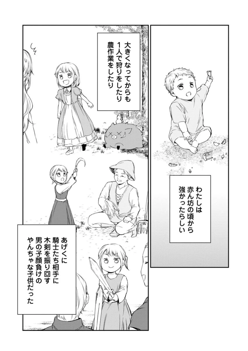 婚約破棄されたのでお掃除メイドになったら笑わない貴公子様に溺愛されました 第13.2話 - 3
