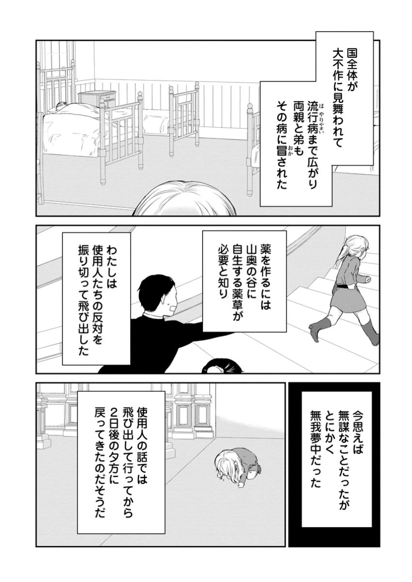 婚約破棄されたのでお掃除メイドになったら笑わない貴公子様に溺愛されました 第13.2話 - 5