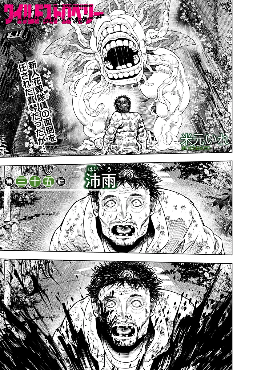 ワイルドストロベリー 第35話 - 1
