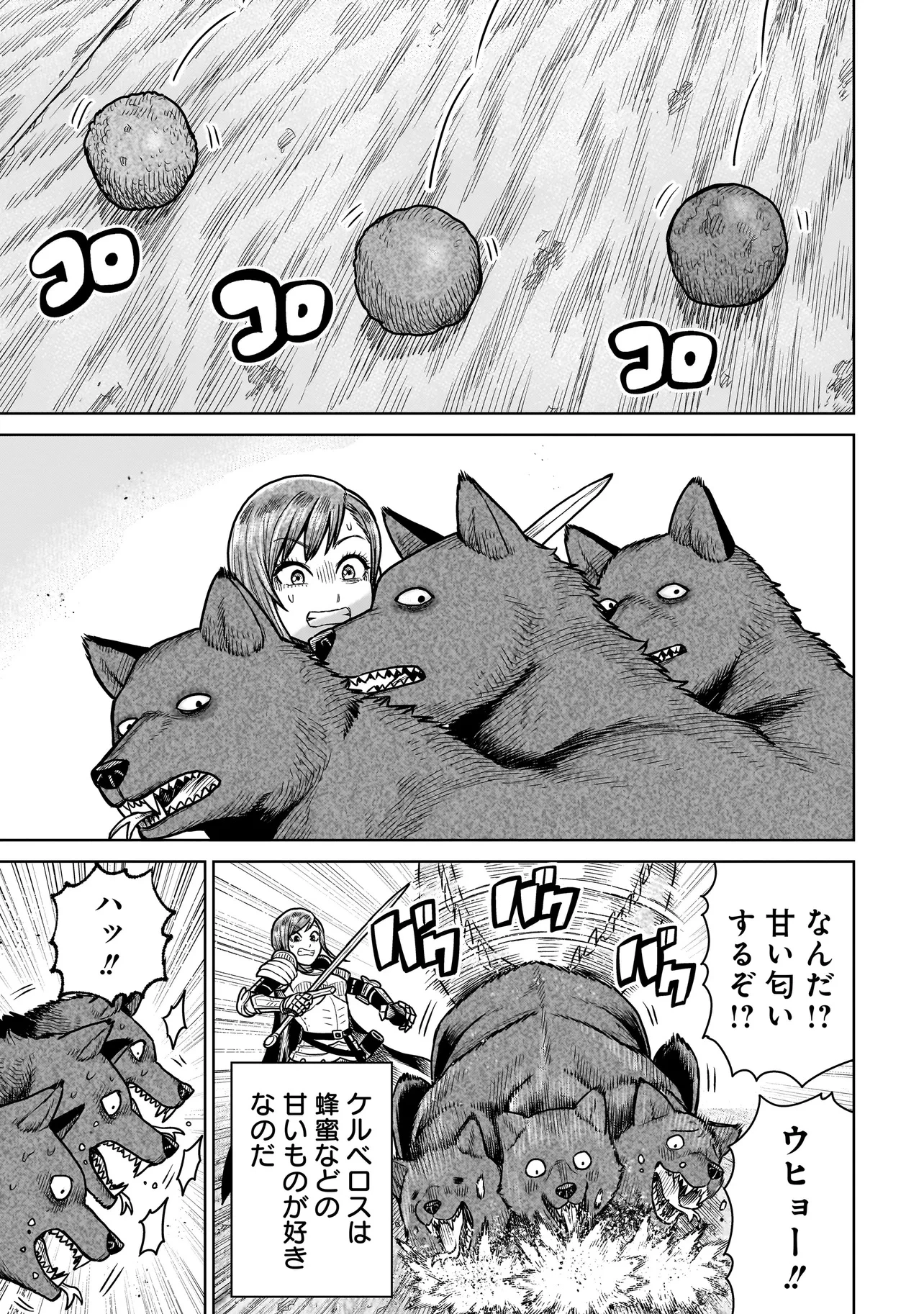 忍者の騎士 第14話 - 17