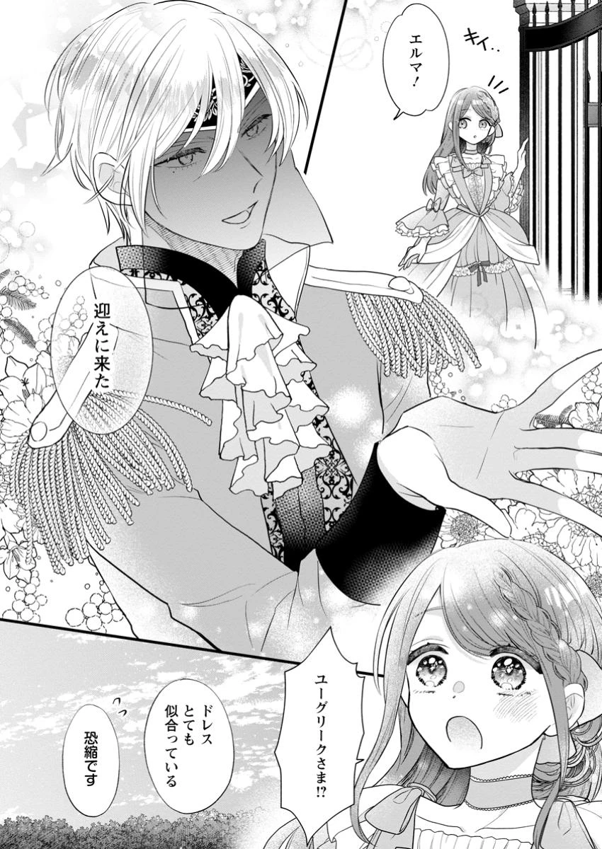 家族に役立たずと言われ続けたわたしが、魔性の公爵騎士様の最愛になるまで 第22.2話 - 3