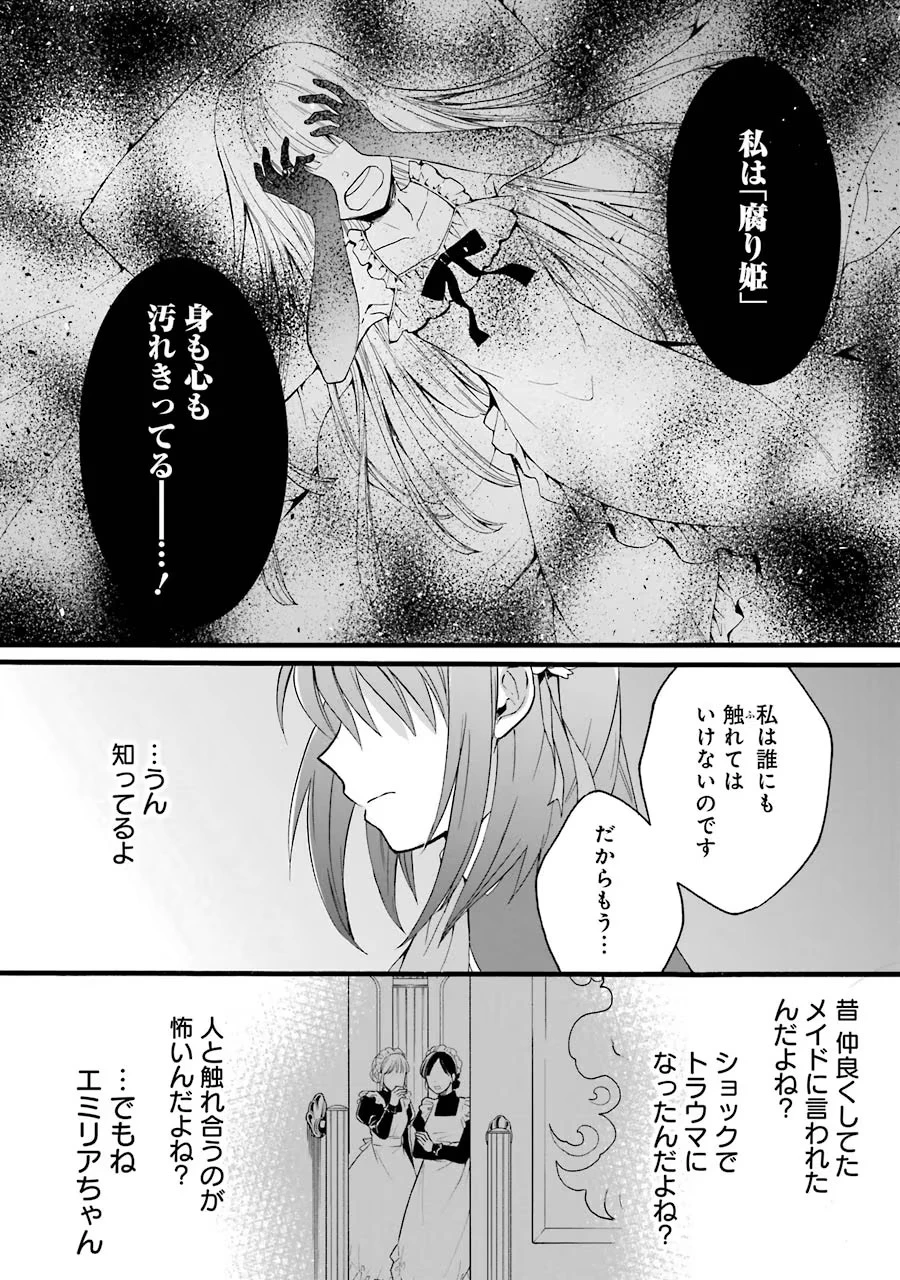 転生大聖女、実力を隠して錬金術学科に入学する　～けもの使いの悪役令嬢、ゲームの知識でやらかし無双し溺愛される～ 第7話 - 30