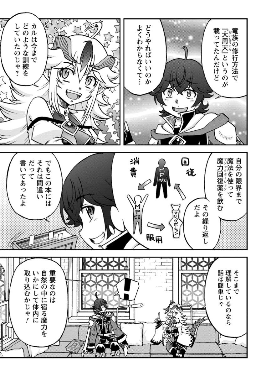 竜王に拾われて魔法を極めた少年、追放を言い渡した家族の前でうっかり無双してしまう～兄上たちが僕の仲間を攻撃するなら、徹底的にやり返します～ 第5.2話 - 1